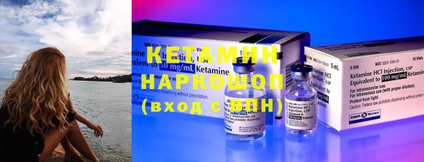 сатива Бородино