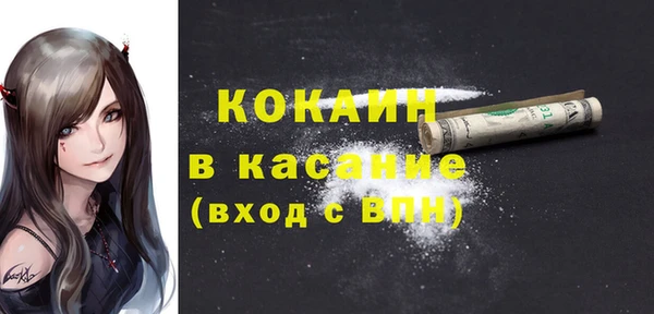 сатива Бородино