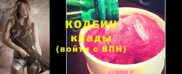 сатива Бородино