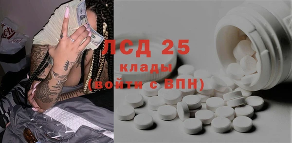 сатива Бородино
