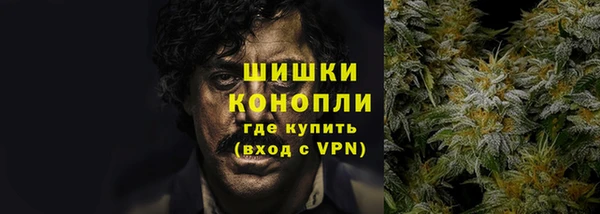 винт Бронницы