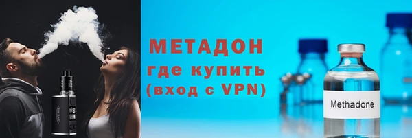 сатива Бородино