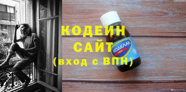 сатива Бородино