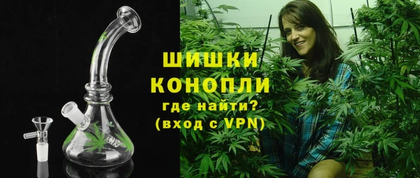 сатива Бородино