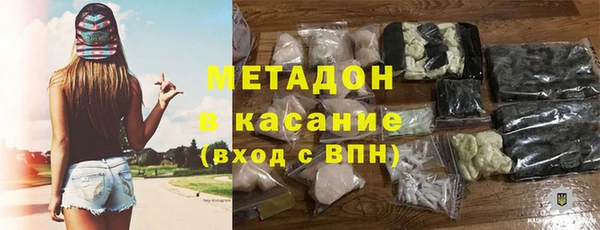 сатива Бородино