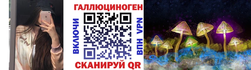 Купить закладки  Малгобек  Псилоцибиновые грибы Cubensis 